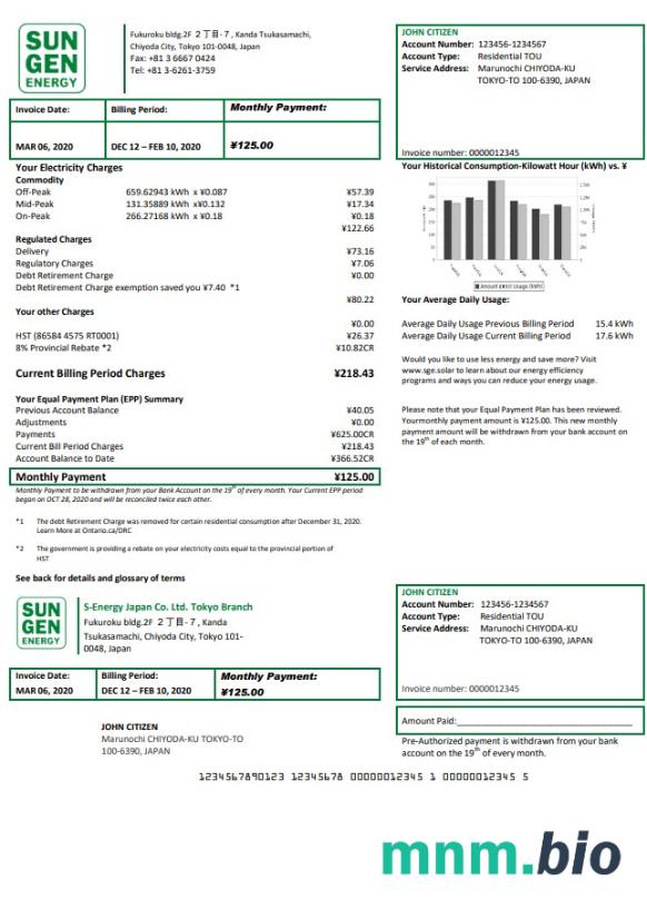 Japan S-Energy Japan Co. Ltd. Tokyo Branch rachunek za media szablon w formacie Word i PDF